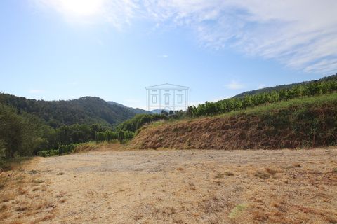 Villa i Lucca, Lucca, Lucca - € 990.000 | Ref: IA04043 - foto 20