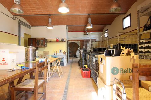 Villa i Lucca, Lucca, Lucca - € 990.000 | Ref: IA04043 - foto 21