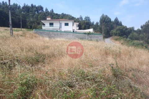 Terra a Roriz, Porto, Roriz - € 44.000 | Ref: T1002-MV12-08STS - foto 5