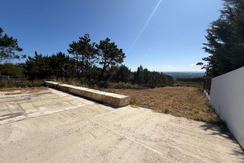 Villa i Santo Onofre e Serra do Bouro, Leiria, Santo Onofre e Serra do Bouro - € 750.000 | Ref: MMP2935 - foto 23
