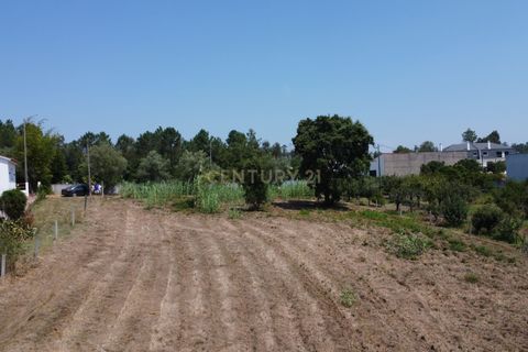 Helårsgrund i Leiria, Leiria, Leiria - € 150.000 | Ref: C0507-00257 - foto 1
