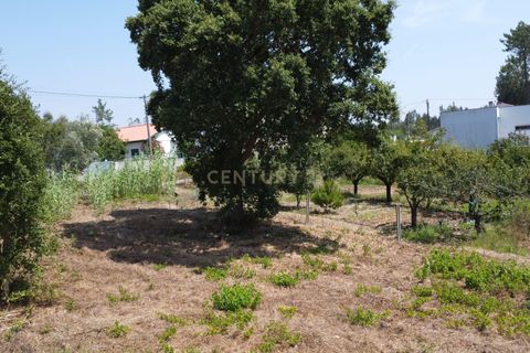 Helårsgrund i Leiria, Leiria, Leiria - € 150.000 | Ref: C0507-00257 - foto 3