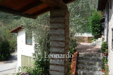 Villa i Camaiore, Lucca, Camaiore - € 850.000 | Ref: C380 - foto 43