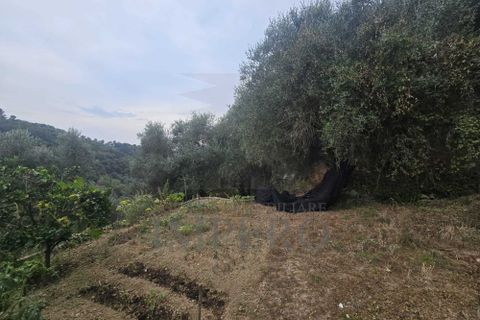 Villa i Dolceacqua, Imperia, Dolceacqua - € 60.000 | Ref: 23454 - foto 2