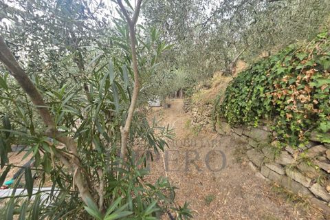 Villa i Dolceacqua, Imperia, Dolceacqua - € 60.000 | Ref: 23454 - foto 4