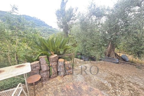 Villa i Dolceacqua, Imperia, Dolceacqua - € 60.000 | Ref: 23454 - foto 6