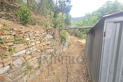 Villa i Dolceacqua, Imperia, Dolceacqua - € 60.000 | Ref: 23454 - foto 8