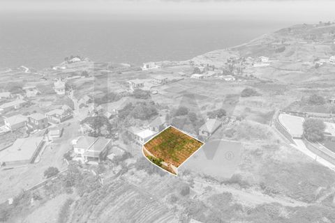 Helårsgrund i Calheta, Madeira, Calheta - € 53.500 | Ref: KWPT-020025 - foto 2