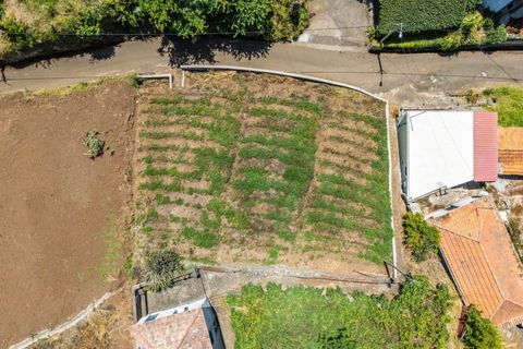 Helårsgrund i Calheta, Madeira, Calheta - € 53.500 | Ref: KWPT-020025 - foto 3