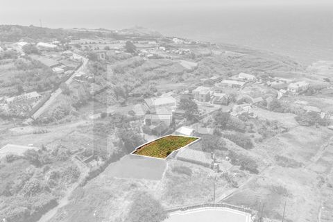 Helårsgrund i Calheta, Madeira, Calheta - € 53.500 | Ref: KWPT-020025 - foto 8