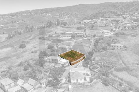 Helårsgrund i Calheta, Madeira, Calheta - € 53.500 | Ref: KWPT-020025 - foto 9