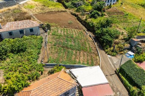 Helårsgrund i Calheta, Madeira, Calheta - € 53.500 | Ref: KWPT-020025 - foto 12
