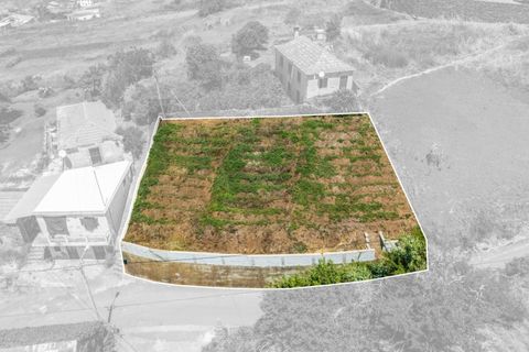 Helårsgrund i Calheta, Madeira, Calheta - € 53.500 | Ref: KWPT-020025 - foto 15