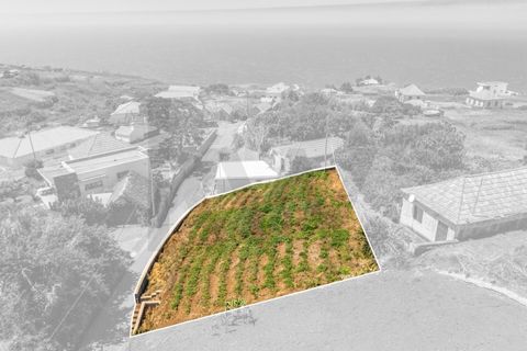 Helårsgrund i Calheta, Madeira, Calheta - € 53.500 | Ref: KWPT-020025 - foto 17