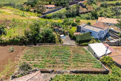 Helårsgrund i Calheta, Madeira, Calheta - € 53.500 | Ref: KWPT-020025 - foto 18