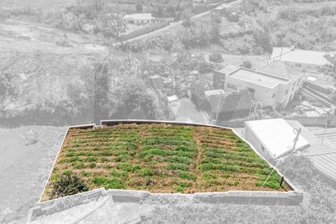 Helårsgrund i Calheta, Madeira, Calheta - € 53.500 | Ref: KWPT-020025 - foto 19