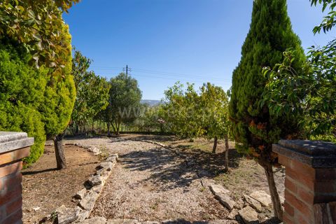 Byhus i Alcobaca, Leiria, Alcobaca - € 420.000 | Ref: 222230185 - foto 15