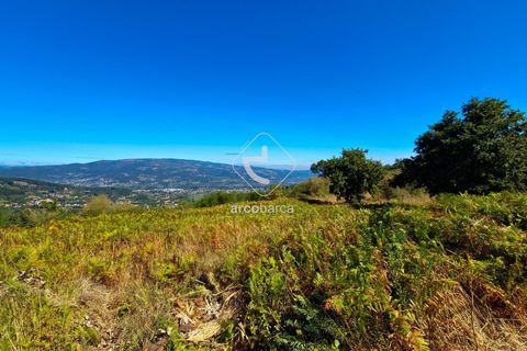 Terra a Ponte de Lima, Viana do Castelo, Ponte de Lima - € 35.000 | Ref: AV6474 - foto 4