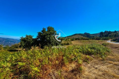 Terra a Ponte de Lima, Viana do Castelo, Ponte de Lima - € 35.000 | Ref: AV6474 - foto 5