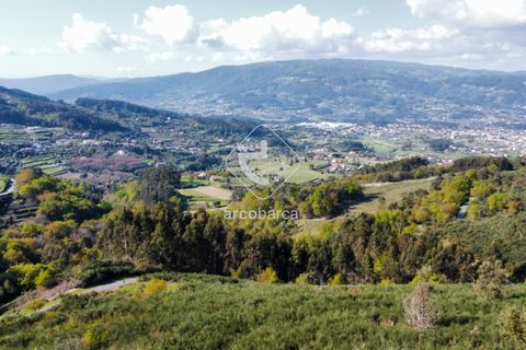 Terra a Ponte de Lima, Viana do Castelo, Ponte de Lima - € 35.000 | Ref: AV6474 - foto 6