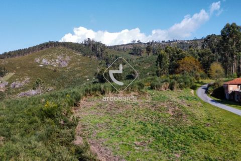 Terra a Ponte de Lima, Viana do Castelo, Ponte de Lima - € 35.000 | Ref: AV6474 - foto 8