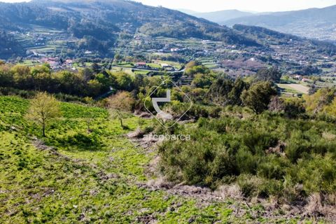 Terra a Ponte de Lima, Viana do Castelo, Ponte de Lima - € 35.000 | Ref: AV6474 - foto 11