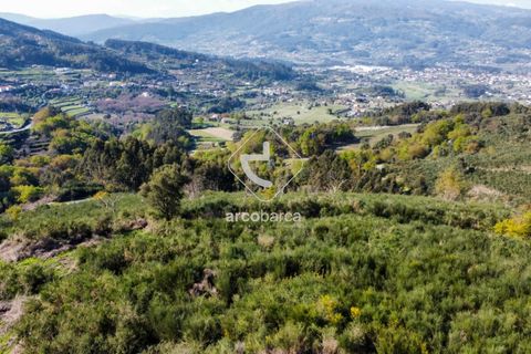 Terra a Ponte de Lima, Viana do Castelo, Ponte de Lima - € 35.000 | Ref: AV6474 - foto 12