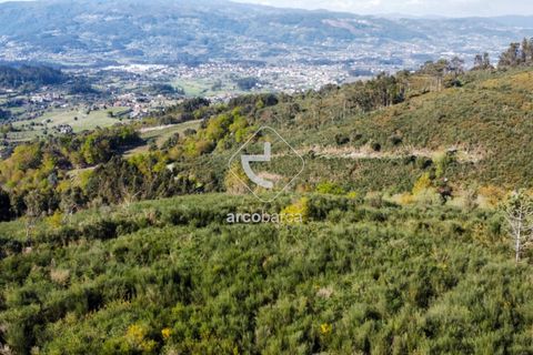 Terra a Ponte de Lima, Viana do Castelo, Ponte de Lima - € 35.000 | Ref: AV6474 - foto 13