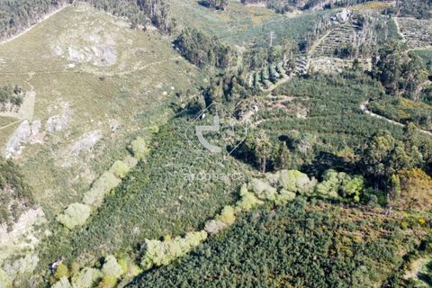 Terra a Ponte de Lima, Viana do Castelo, Ponte de Lima - € 35.000 | Ref: AV6474 - foto 14