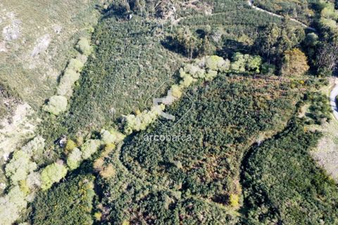 Terra a Ponte de Lima, Viana do Castelo, Ponte de Lima - € 35.000 | Ref: AV6474 - foto 15