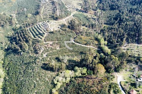 Terra a Ponte de Lima, Viana do Castelo, Ponte de Lima - € 35.000 | Ref: AV6474 - foto 16