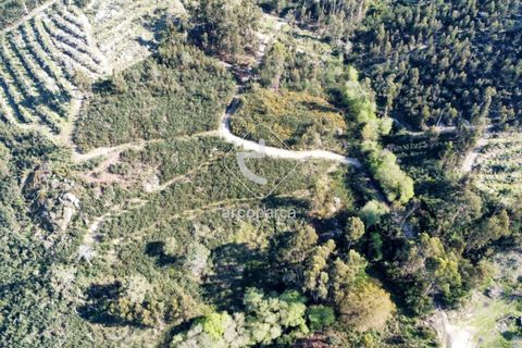 Terra a Ponte de Lima, Viana do Castelo, Ponte de Lima - € 35.000 | Ref: AV6474 - foto 18