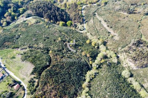 Terra a Ponte de Lima, Viana do Castelo, Ponte de Lima - € 35.000 | Ref: AV6474 - foto 19