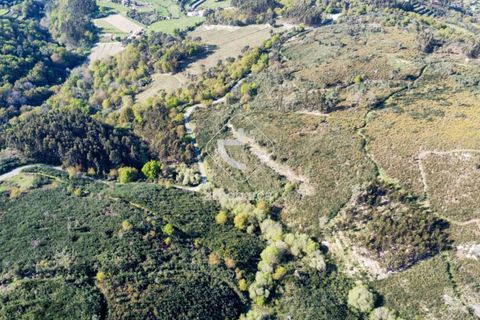 Terra a Ponte de Lima, Viana do Castelo, Ponte de Lima - € 35.000 | Ref: AV6474 - foto 20