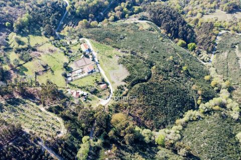 Terra a Ponte de Lima, Viana do Castelo, Ponte de Lima - € 35.000 | Ref: AV6474 - foto 21