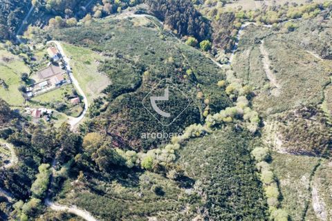 Terra a Ponte de Lima, Viana do Castelo, Ponte de Lima - € 35.000 | Ref: AV6474 - foto 22