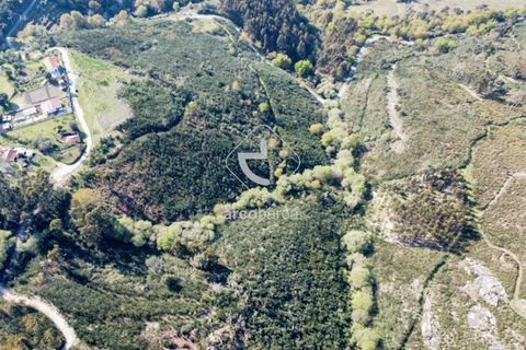 Terra a Ponte de Lima, Viana do Castelo, Ponte de Lima - € 35.000 | Ref: AV6474 - foto 23
