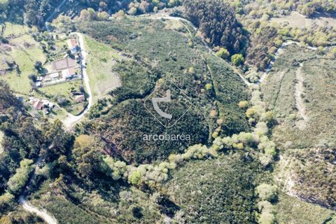 Terra a Ponte de Lima, Viana do Castelo, Ponte de Lima - € 35.000 | Ref: AV6474 - foto 24