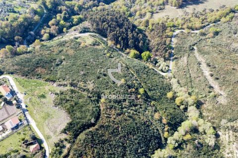 Terra a Ponte de Lima, Viana do Castelo, Ponte de Lima - € 35.000 | Ref: AV6474 - foto 25