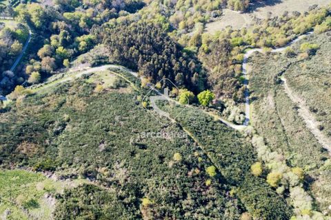 Terra a Ponte de Lima, Viana do Castelo, Ponte de Lima - € 35.000 | Ref: AV6474 - foto 26