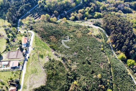 Terra a Ponte de Lima, Viana do Castelo, Ponte de Lima - € 35.000 | Ref: AV6474 - foto 27