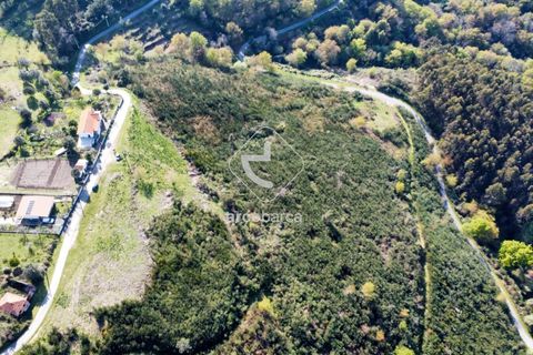 Terra a Ponte de Lima, Viana do Castelo, Ponte de Lima - € 35.000 | Ref: AV6474 - foto 28
