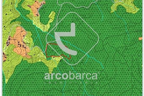 Terra a Ponte de Lima, Viana do Castelo, Ponte de Lima - € 35.000 | Ref: AV6474 - foto 29
