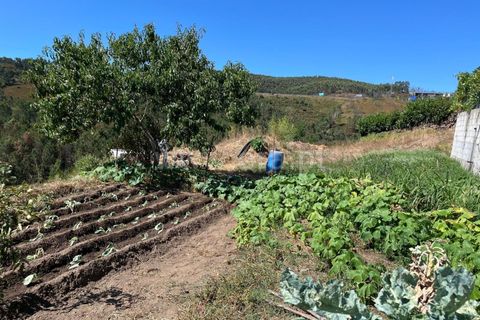 Helårsgrund i Paredes, Porto, Paredes - € 36.000 | Ref: 311250199 - foto 3