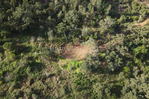 Helårsgrund i Monchique, Faro, Monchique - € 40.000 | Ref: 359250061 - foto 3