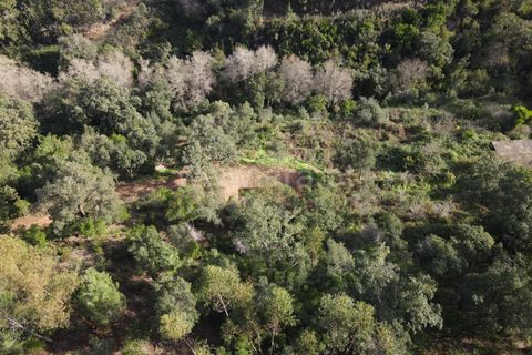 Helårsgrund i Monchique, Faro, Monchique - € 40.000 | Ref: 359250061 - foto 4