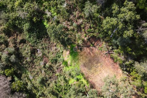 Helårsgrund i Monchique, Faro, Monchique - € 40.000 | Ref: 359250061 - foto 5