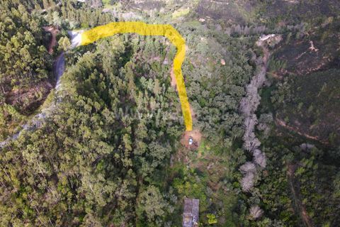 Helårsgrund i Monchique, Faro, Monchique - € 40.000 | Ref: 359250061 - foto 7