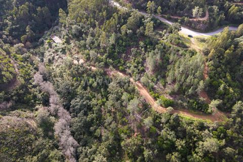 Helårsgrund i Monchique, Faro, Monchique - € 40.000 | Ref: 359250061 - foto 8