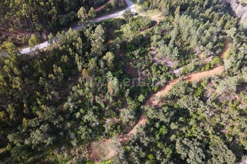 Helårsgrund i Monchique, Faro, Monchique - € 40.000 | Ref: 359250061 - foto 9